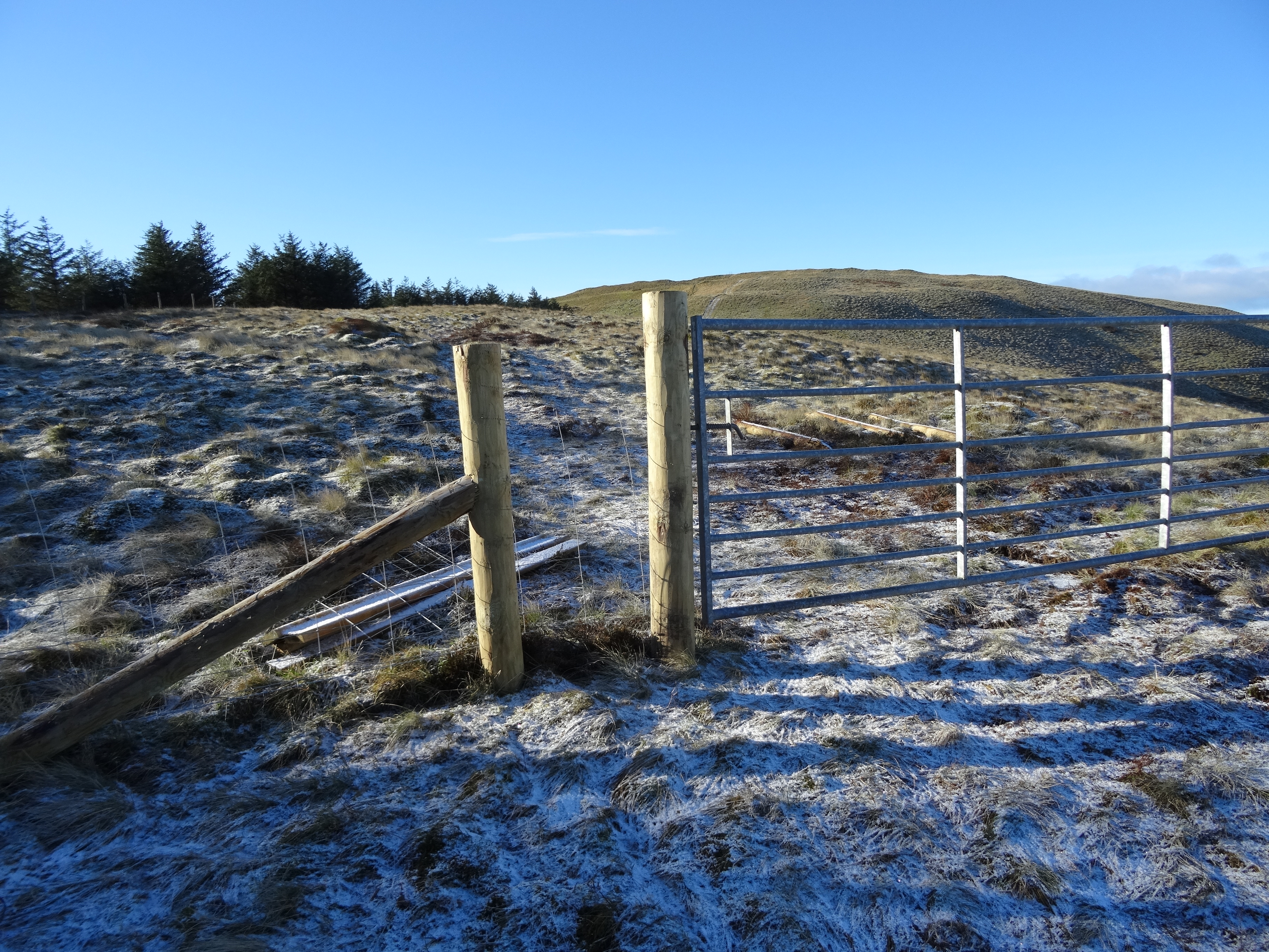 RachelSeabrook.net | Wild Walking | Y Garn & Pumlumon | pic05E